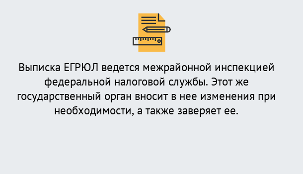 Почему нужно обратиться к нам? Вышний Волочек Выписка ЕГРЮЛ в Вышний Волочек ?